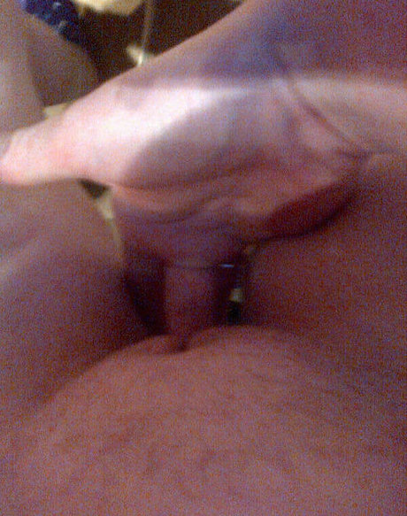 Exibam Sua Companheira