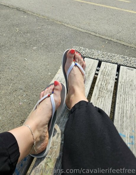 Cavalierifeetfree