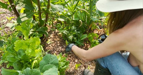 The Naked Gardener