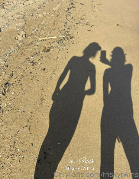 Friskytwins