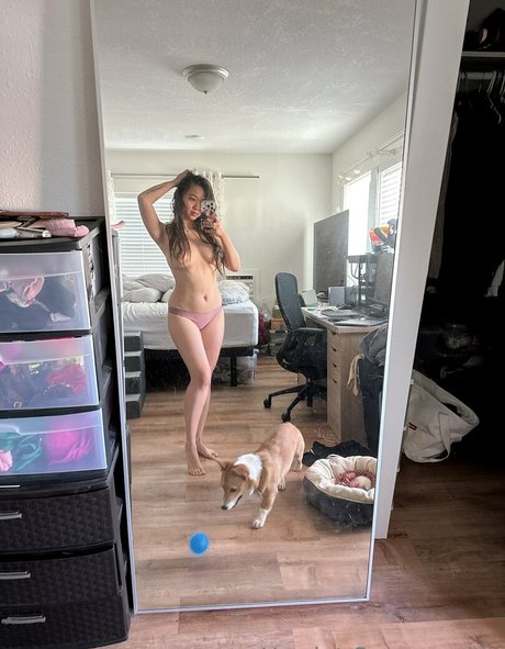 Harrietsugarcookie