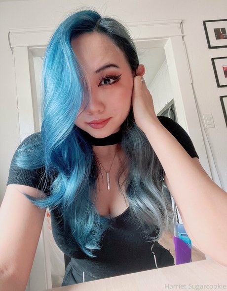 Harrietsugarcookie