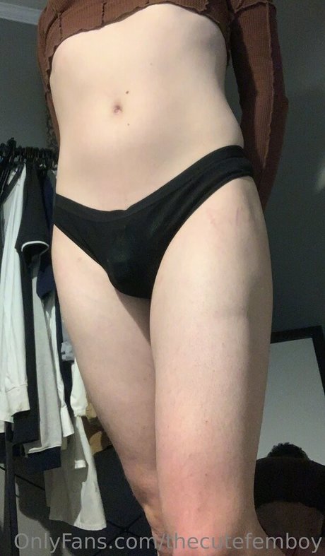 Thecutefemboy