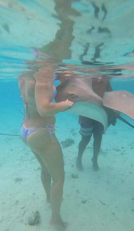 Milanka Bee Milankabee