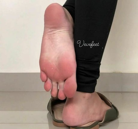 Vevefeet