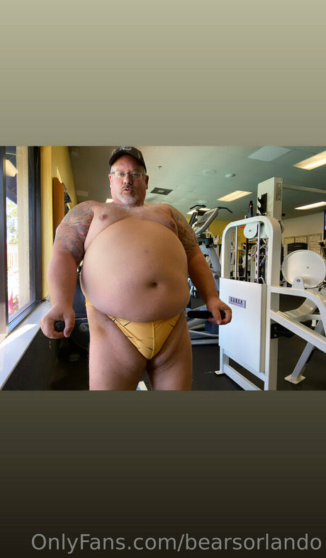 Bearsorlando