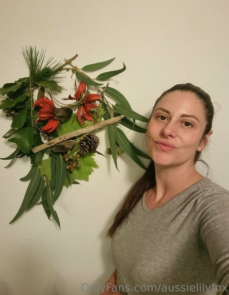 Aussielilyfox