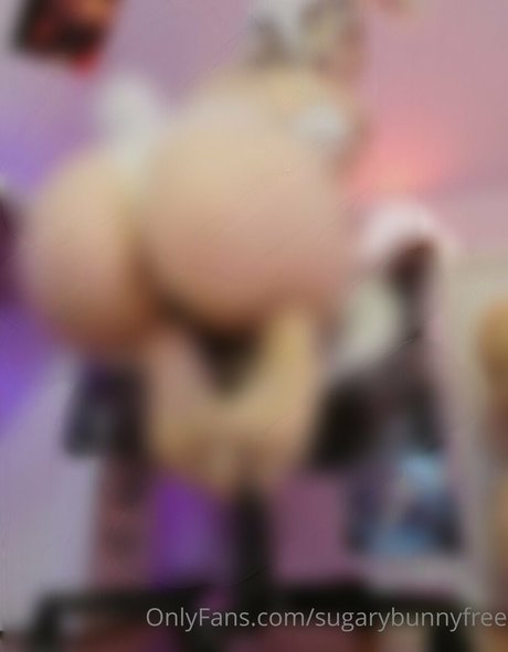 Sugarybunnyfree
