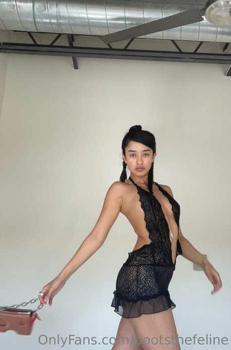 Bootsthefeline