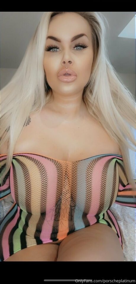 Porscheplatinum