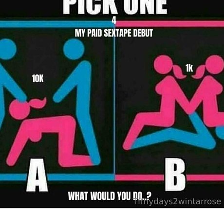 Tffnydays2wintarrose