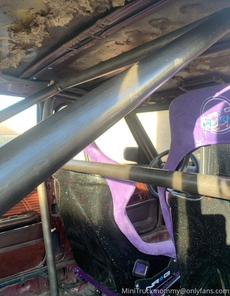 Minitruckmommy